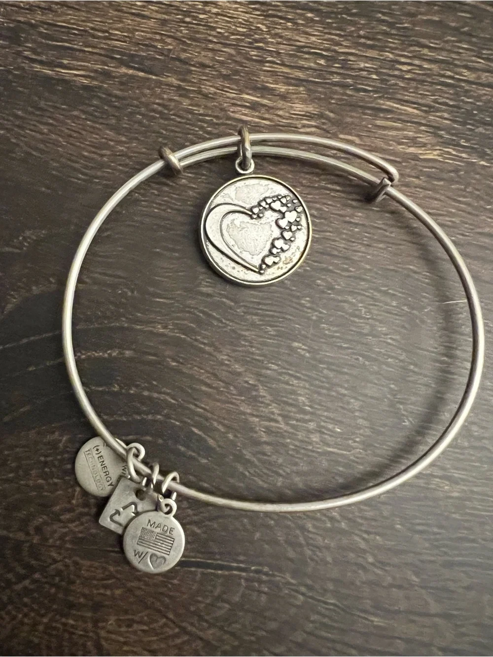 Alex and Ani Silver Tone Stackable Charm Bangle Bracelets Set of 9
